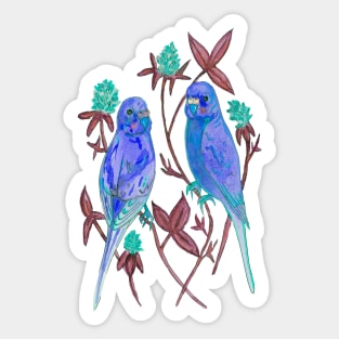 Blue budgies Sticker